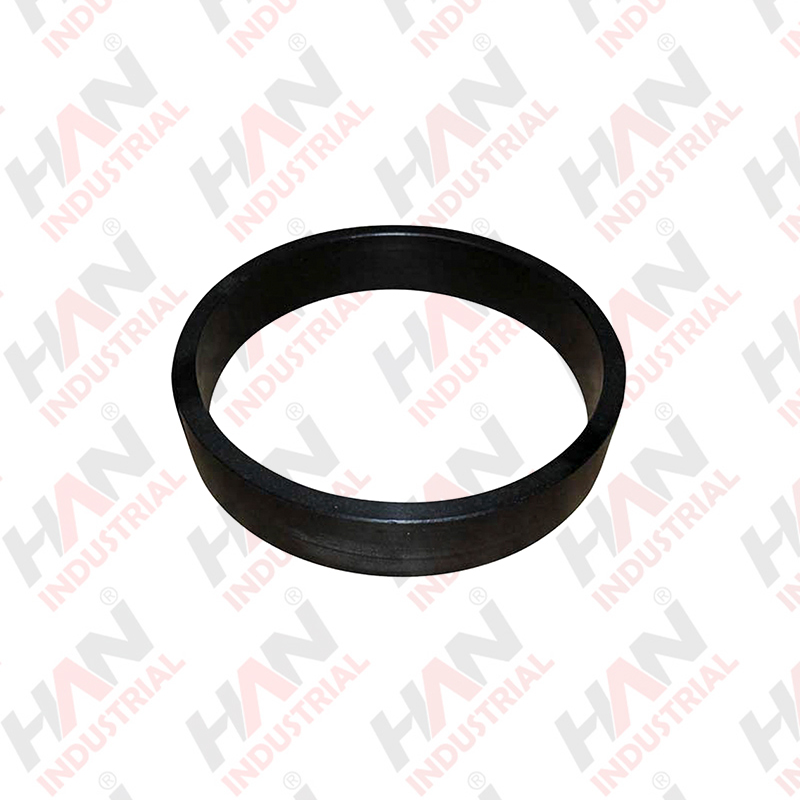 GUIDE RING DN250 OEM#274904000