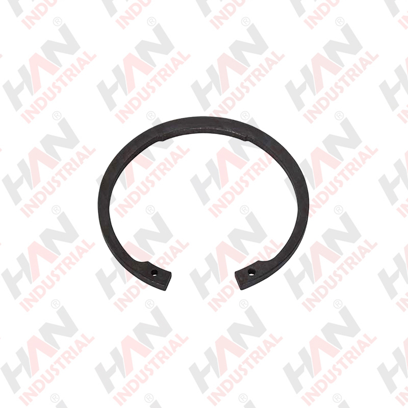 LIP SEAL RING OEM#042174004