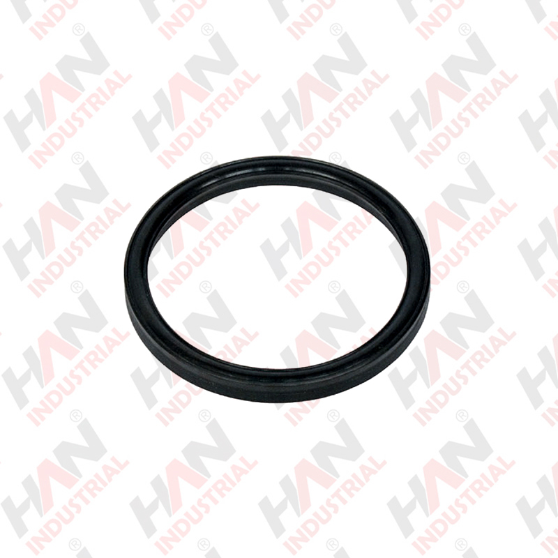 LIP SEAL RING OEM#062954000