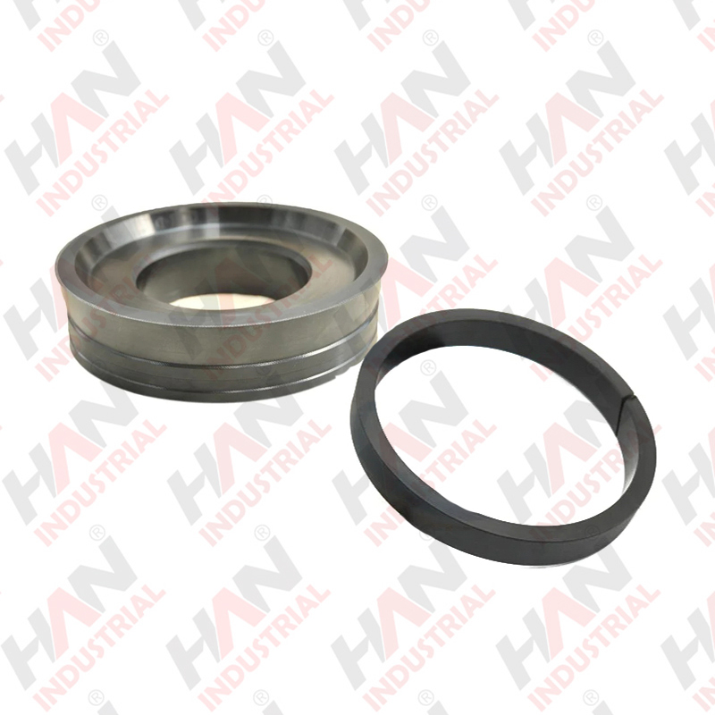 PM DN150 Delivery Piston+ Guide Ring OEM 056839005