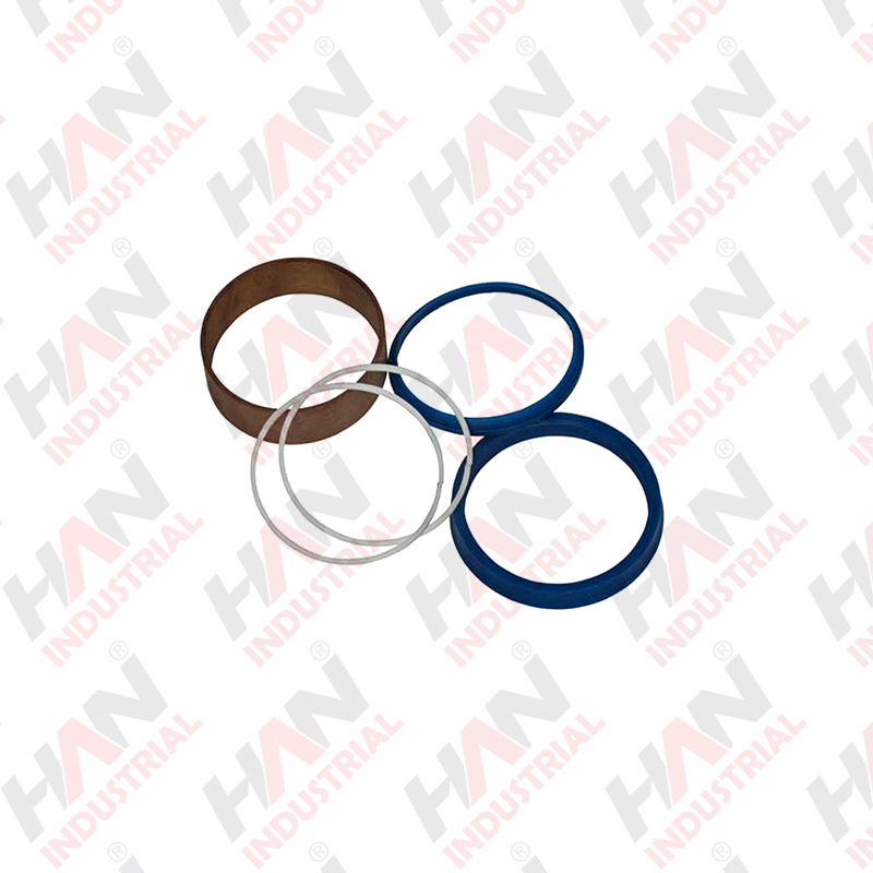 SEAL SET FOR PLUNGER CYLINDER 200-80 OEM#278901009KIT