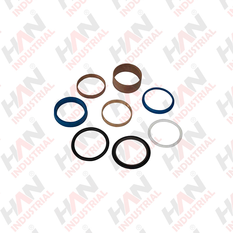 SEAL SET FOR PLUNGER CYLINDER Q160-60 OEM#262840008KIT