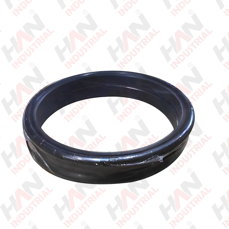 BHS AXIAL FACE SEAL OEM 504302200