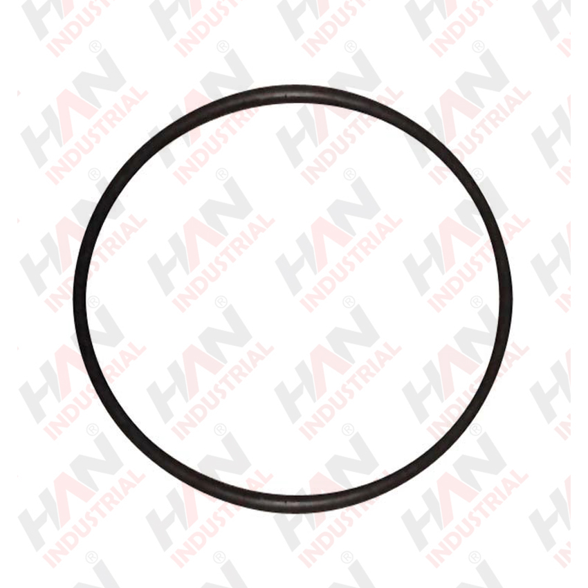 OEM 10000602 RUBBER RING 200-10 SCHWING