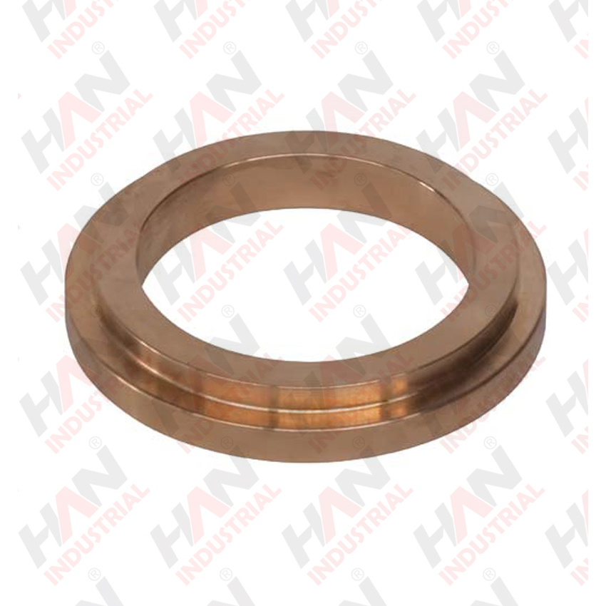 OEM 10001102 SEALING RING SCHWING