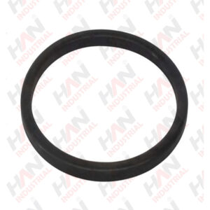 OEM 10004761 RUBBER RING SCHWING