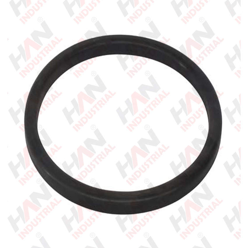 OEM 10004761 RUBBER RING SCHWING