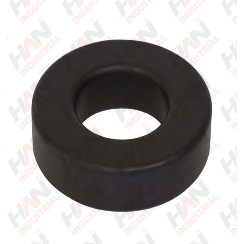 OEM 10004913 RING SCHWING