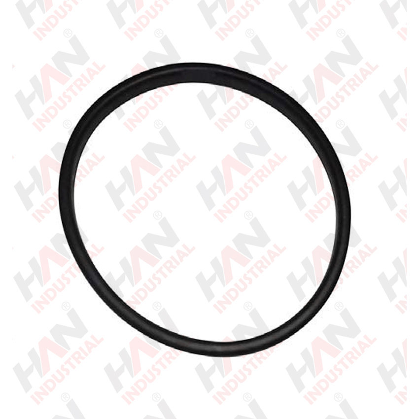 OEM 10006403 RUBBER RING 6 SCHWING