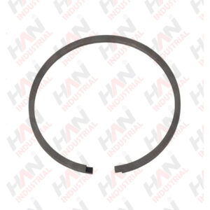 OEM 10007052 PISTON RING 120x3 SCHWING