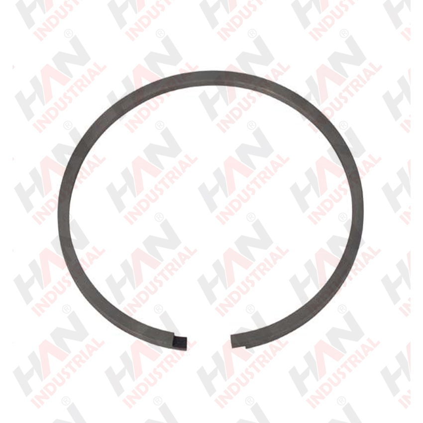 OEM 10007052 PISTON RING 120x3 SCHWING