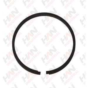 OEM 10007054 PISTON RING 125x4 SCHWING