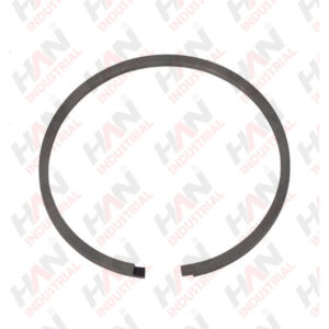 OEM 10007990 PISTON RING SCHWING