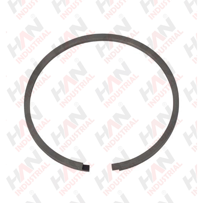 OEM 10007990 PISTON RING SCHWING