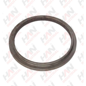 OEM 10181915 BACKUP RING DN220 SCHWING