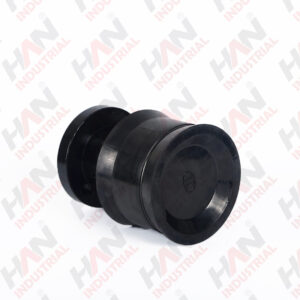 Piston Ram DN150 OEM    10161863