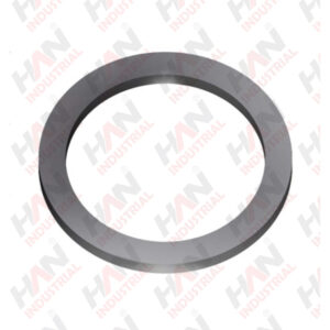 SUPPORT DISC SS 35*45*2.5 SCHWING OEM 10006393