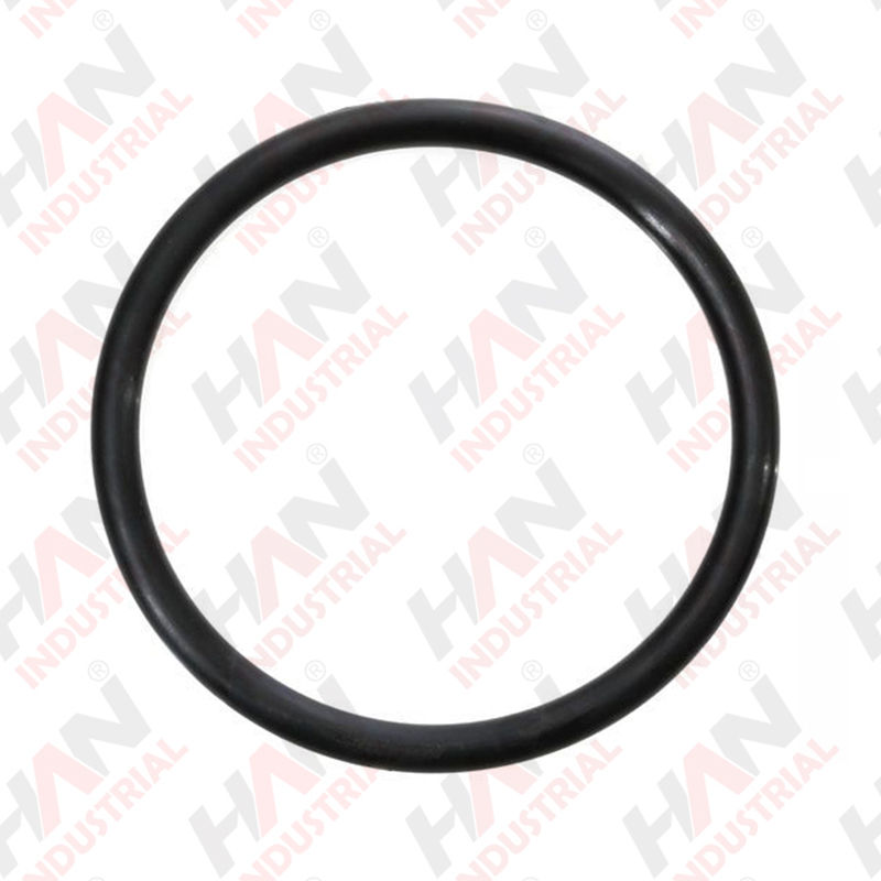 Schwing 10016241 Shaft Seal O-Ring 95 8 OEM 10016241