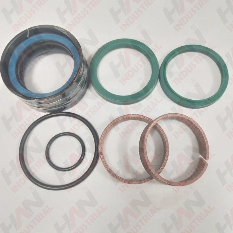 Zoomlion Seal Kits D45/60 OEM 001600001A0000237