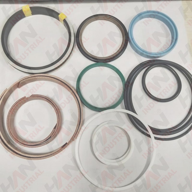 Zoomlion Seal Kits D65/110 OEM 001600001A0000255