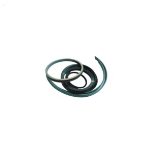 Puztmeister SEAL KITS 100/70 OEM#64120007