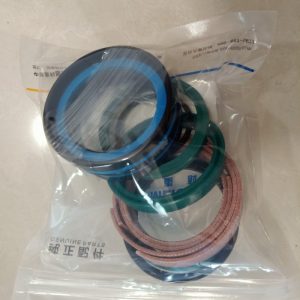 Zoomlion 001600001A0000281 SEAL KIT