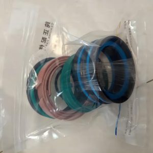 Zoomlion 001600001A0000282 SEAL KIT